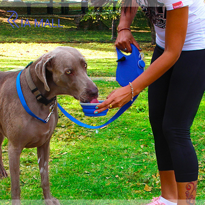 Laisse pour animaux de compagnie avec bouteille d'eau